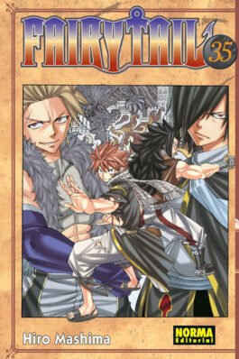 FAIRY TAIL 35