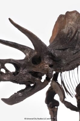 PARQUE JURÁSICO TRICERATOPS FOSSIL SKELETON BRONZE – JURASSIC PARK – ESTATUA 1/24 – ELITE CREATURE COLLECTIBLES
